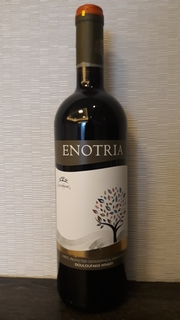 Enotria small