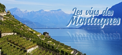 Les vins des montagnes vignette small