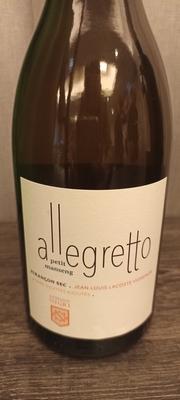 Allegretto 2022 small