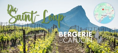 vignette bergerie capucin small