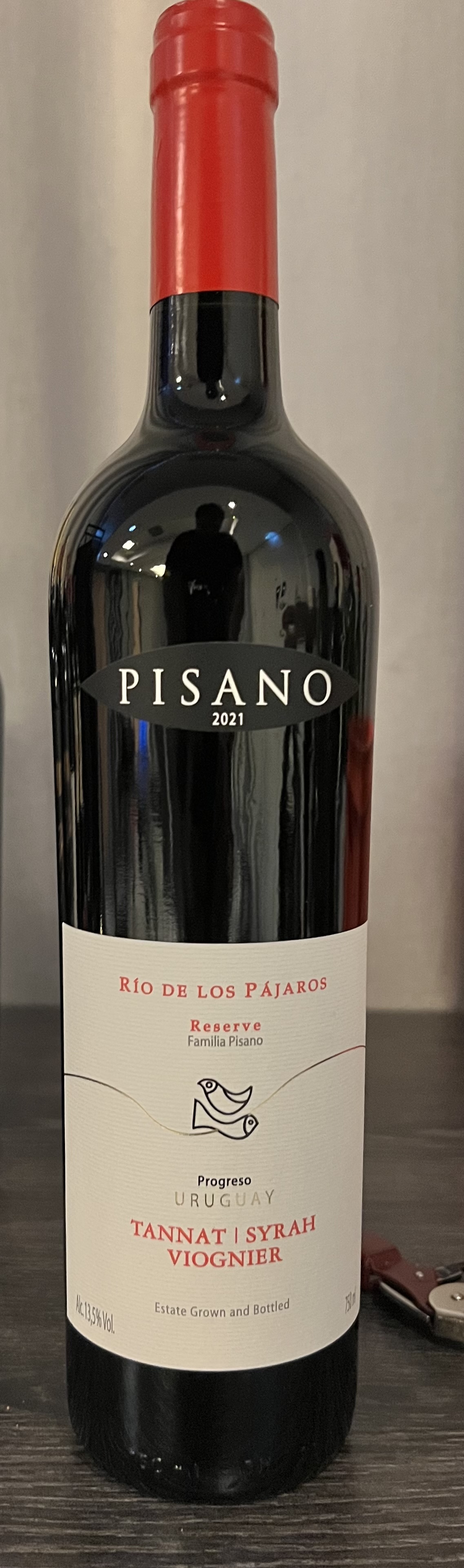 Pisano RioDeLosPajaros